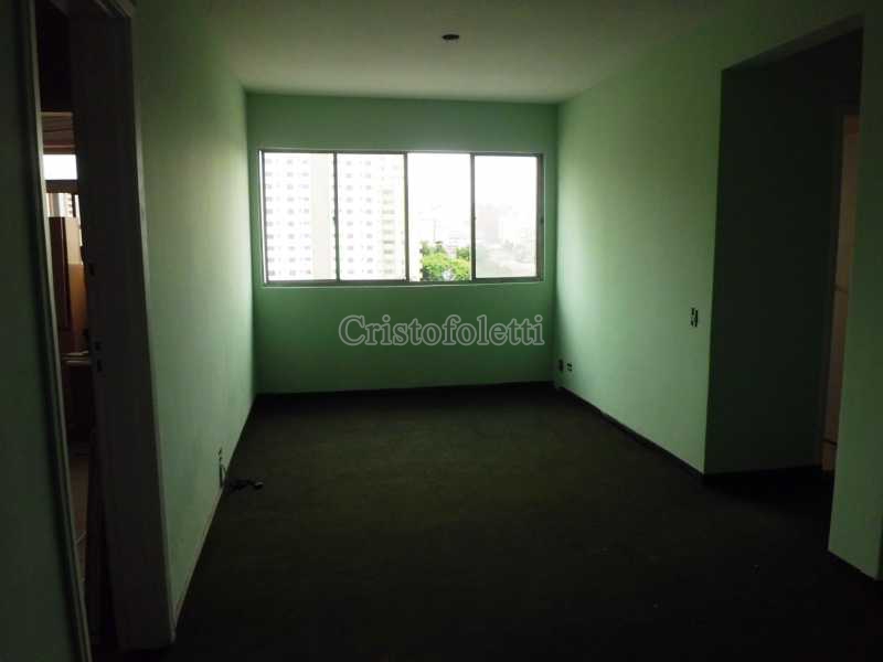 CIMG8603 - 1