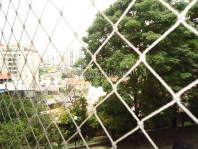 Conheça Vista aberta. do imóvel - Apartamento, 3 dormitorios, Vila Monumento - CALO0007 - 12 Vista aberta. - 12