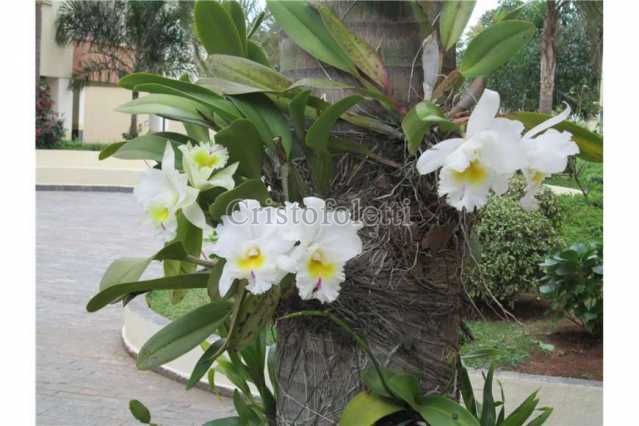 Conheça jardim do condomínio do imóvel - Apartamento PARA ALUGAR, Parque Nossa Senhora da Candelária, Itu, SP - ISLO0018 - 7 jardim do condomínio - Apartamento PARA ALUGAR, Parque Nossa Senhora da Candelária, Itu, SP - ISLO0018 - 7