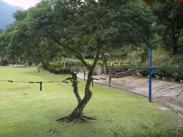 Conheça FOTO15 do imóvel - Sítio 75000m² à venda Rua Lagoa Bonita,Vargem Grande, Rio de Janeiro - R$ 7.000.000 - SVOU36371 - 16 FOTO15 - Sítio 75000m² à venda Rua Lagoa Bonita,Vargem Grande, Rio de Janeiro - R$ 7.000.000 - SVOU36371 - 16
