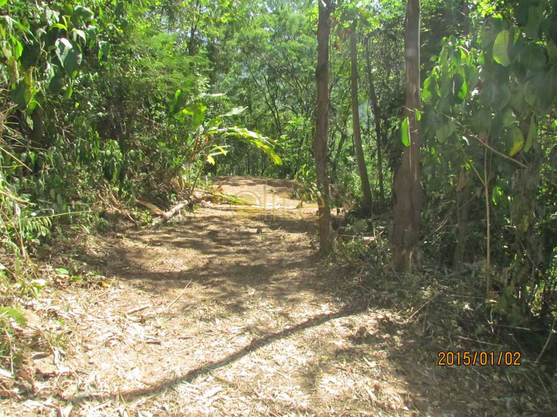 Conheça Reserva_plateau_2 do imóvel - Terreno Unifamiliar à venda Itanhangá, Rio de Janeiro - R$ 2.800.000 - EBUF00003 - 4 Reserva_plateau_2 - Terreno Unifamiliar à venda Itanhangá, Rio de Janeiro - R$ 2.800.000 - EBUF00003 - 4