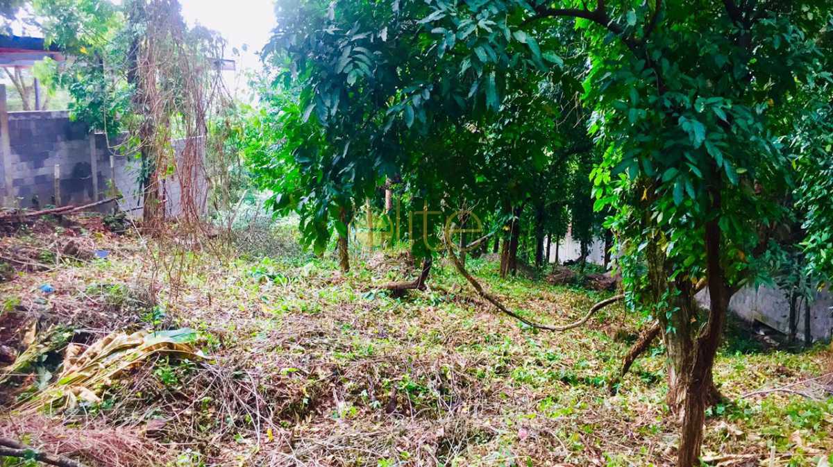 Conheça 10 do imóvel - Terreno Unifamiliar à venda Itanhangá, Rio de Janeiro - R$ 1.200.000 - EBUF00038 - 10 10 - Terreno Unifamiliar à venda Itanhangá, Rio de Janeiro - R$ 1.200.000 - EBUF00038 - 10