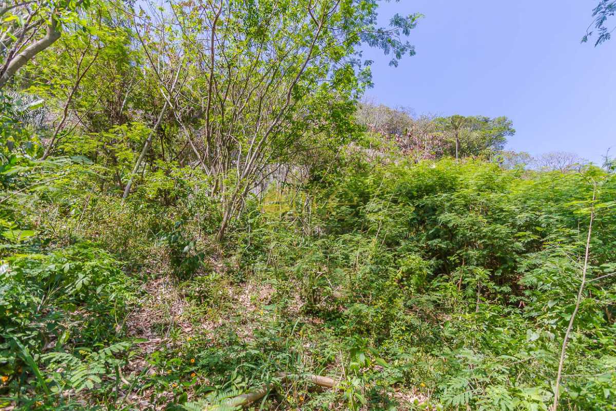 Conheça TERRENO A VENDA JOATINGA BARRA do imóvel - Terreno À Venda no Condomínio Joatinga - Joá - Rio de Janeiro - RJ - 80008 - 10 TERRENO A VENDA JOATINGA BARRA - Terreno À Venda no Condomínio Joatinga - Joá - Rio de Janeiro - RJ - 80008 - 10