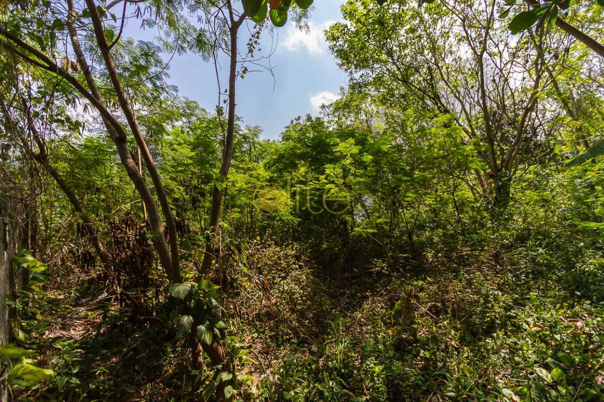 Conheça TERRENO A VENDA JOATINGA BARRA do imóvel - Terreno À Venda no Condomínio Joatinga - Joá - Rio de Janeiro - RJ - 80008 - 12 TERRENO A VENDA JOATINGA BARRA - Terreno À Venda no Condomínio Joatinga - Joá - Rio de Janeiro - RJ - 80008 - 12