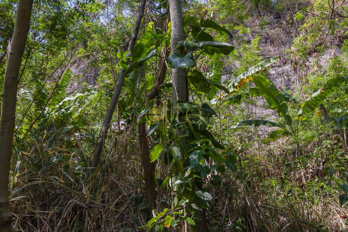 Conheça TERRENO A VENDA JOATINGA BARRA do imóvel - Terreno À Venda no Condomínio Joatinga - Joá - Rio de Janeiro - RJ - 80008 - 13 TERRENO A VENDA JOATINGA BARRA - Terreno À Venda no Condomínio Joatinga - Joá - Rio de Janeiro - RJ - 80008 - 13