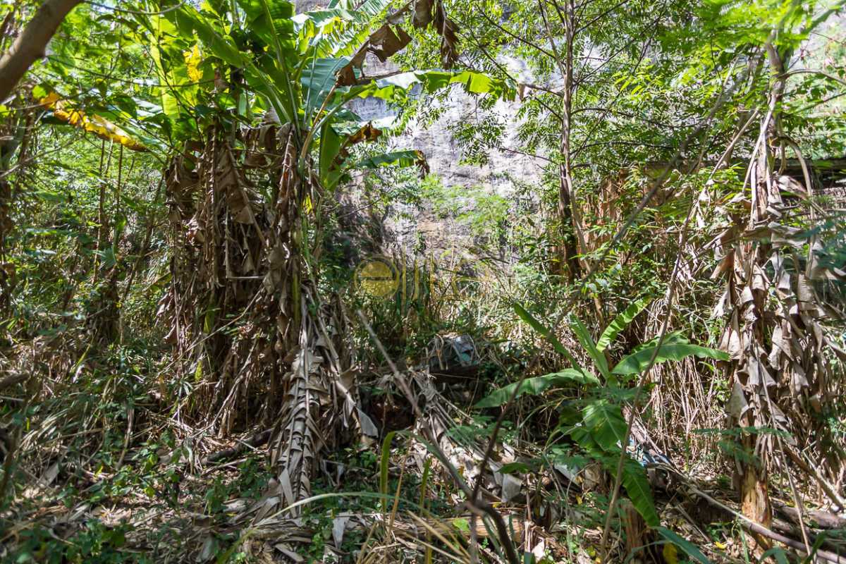 Conheça TERRENO A VENDA JOATINGA BARRA do imóvel - Terreno À Venda no Condomínio Joatinga - Joá - Rio de Janeiro - RJ - 80008 - 16 TERRENO A VENDA JOATINGA BARRA - Terreno À Venda no Condomínio Joatinga - Joá - Rio de Janeiro - RJ - 80008 - 16