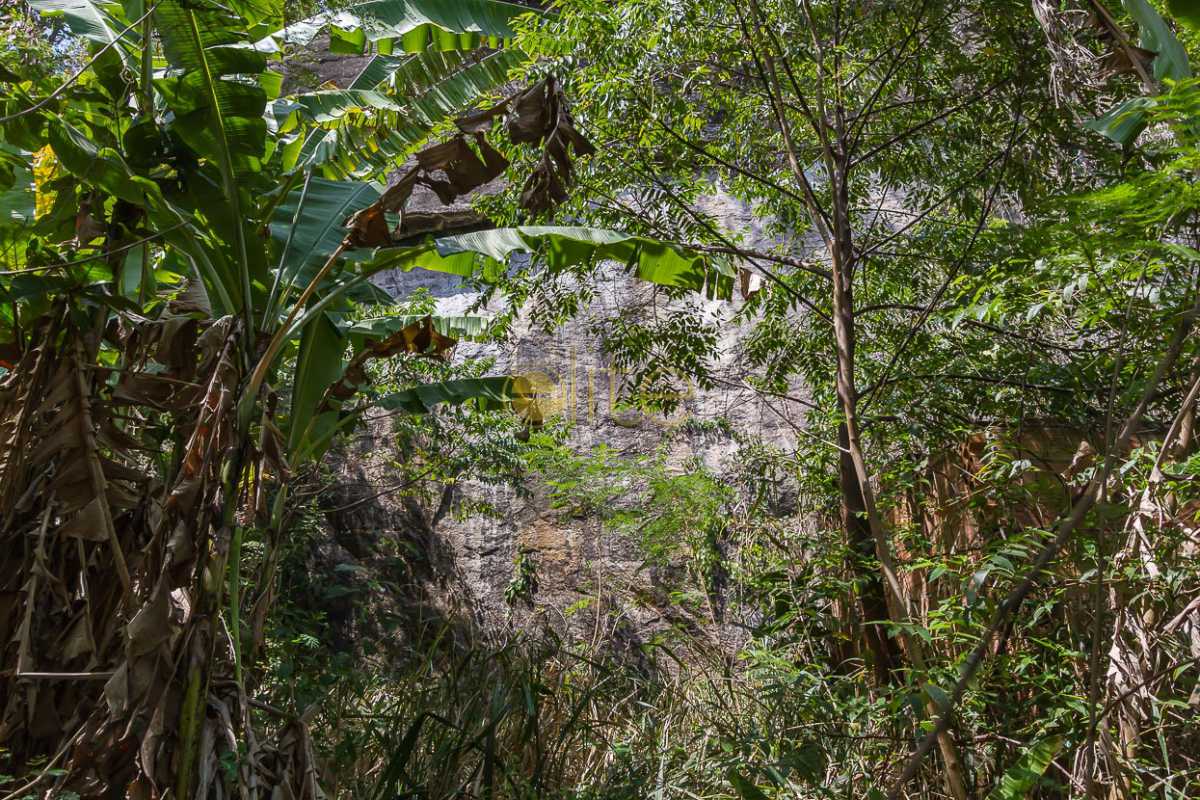 Conheça TERRENO A VENDA JOATINGA BARRA do imóvel - Terreno À Venda no Condomínio Joatinga - Joá - Rio de Janeiro - RJ - 80008 - 17 TERRENO A VENDA JOATINGA BARRA - Terreno À Venda no Condomínio Joatinga - Joá - Rio de Janeiro - RJ - 80008 - 17