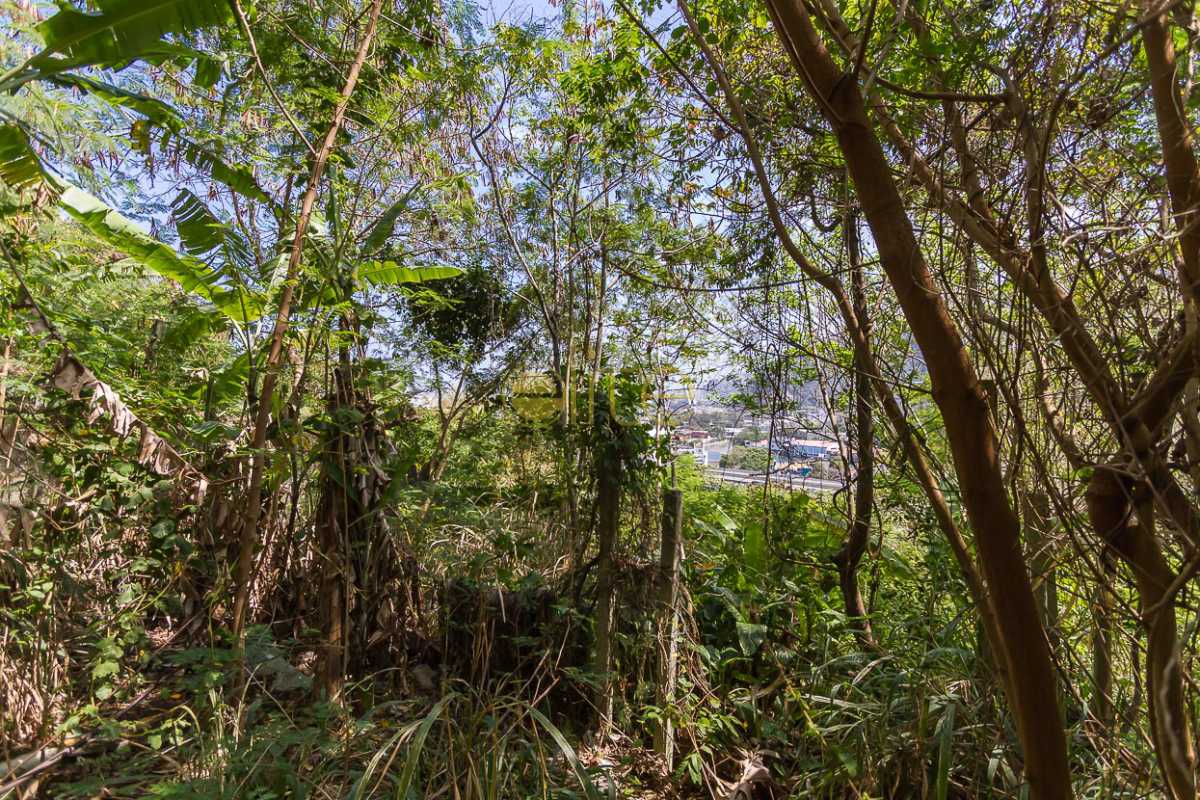 Conheça TERRENO A VENDA JOATINGA BARRA do imóvel - Terreno À Venda no Condomínio Joatinga - Joá - Rio de Janeiro - RJ - 80008 - 18 TERRENO A VENDA JOATINGA BARRA - Terreno À Venda no Condomínio Joatinga - Joá - Rio de Janeiro - RJ - 80008 - 18