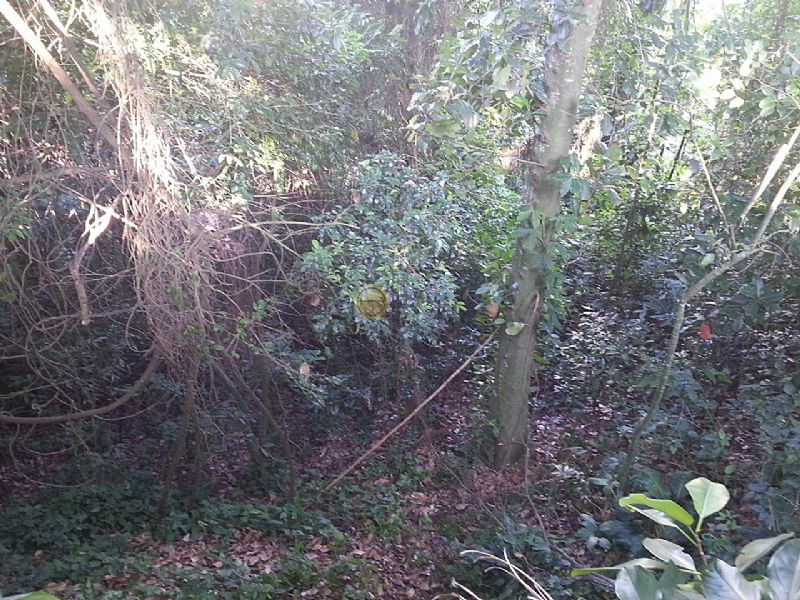 FOTO3 - Terreno Unifamiliar à venda São Conrado, Rio de Janeiro - R$ 1.100.000 - 80028 - 4