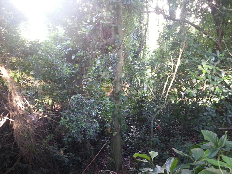FOTO5 - Terreno Unifamiliar à venda São Conrado, Rio de Janeiro - R$ 1.100.000 - 80028 - 6
