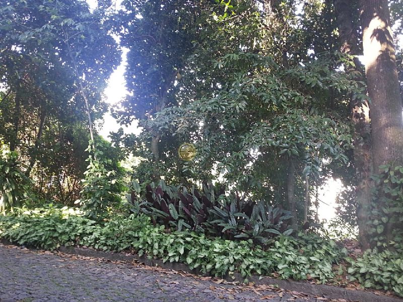 FOTO6 - Terreno Unifamiliar à venda São Conrado, Rio de Janeiro - R$ 1.100.000 - 80028 - 7