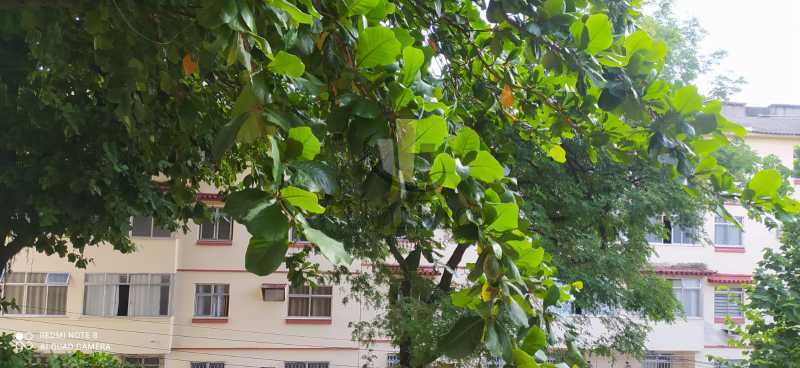Conheça 51ae6f56-e69a-4916-86b2-a1b427 do imóvel - Apartamento 3 quartos à venda Cascadura, Rio de Janeiro - R$ 230.000 - FRAP30343 - 19 51ae6f56-e69a-4916-86b2-a1b427 - Apartamento 3 quartos à venda Cascadura, Rio de Janeiro - R$ 230.000 - FRAP30343 - 19