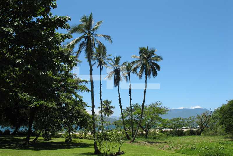 Conheça 0003 do imóvel - Terreno Multifamiliar à venda Angra dos Reis,RJ Camorim Pequeno - R$ 10.000.000 - 01094TE - 3 0003 - Terreno Multifamiliar à venda Angra dos Reis,RJ Camorim Pequeno - R$ 10.000.000 - 01094TE - 3