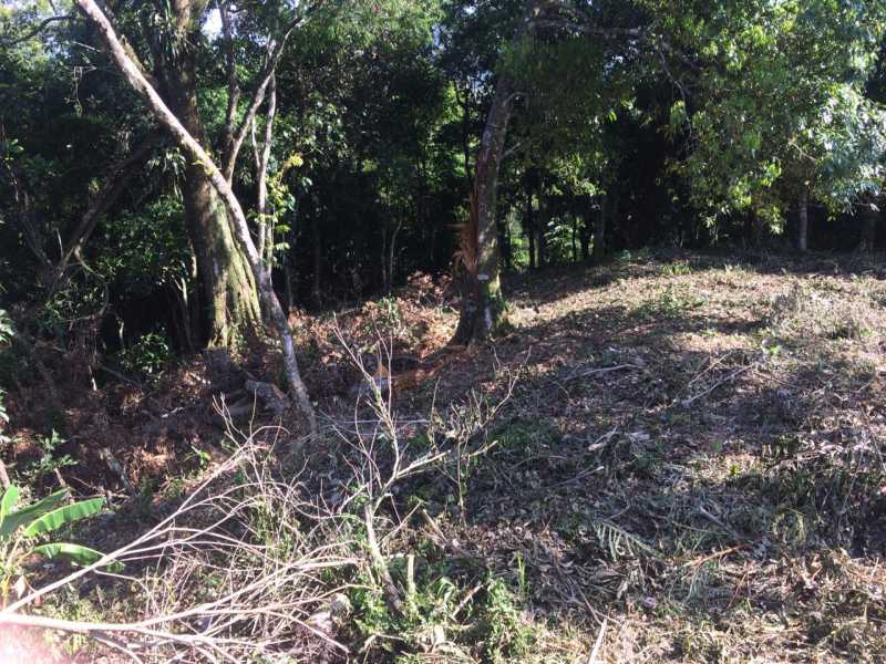 Conheça SERRA IMÓVEIS do imóvel - Terreno Unifamiliar à venda Caneca Fina, Guapimirim - R$ 160.000 - SIUF00016 - 5 SERRA IMÓVEIS - Terreno Unifamiliar à venda Caneca Fina, Guapimirim - R$ 160.000 - SIUF00016 - 5