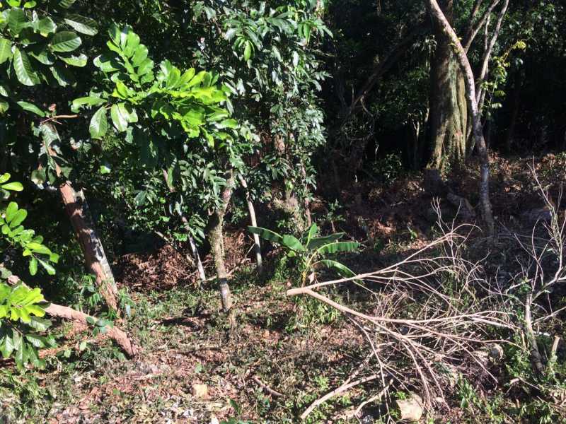 Conheça SERRA IMÓVEIS do imóvel - Terreno Unifamiliar à venda Caneca Fina, Guapimirim - R$ 160.000 - SIUF00016 - 9 SERRA IMÓVEIS - Terreno Unifamiliar à venda Caneca Fina, Guapimirim - R$ 160.000 - SIUF00016 - 9
