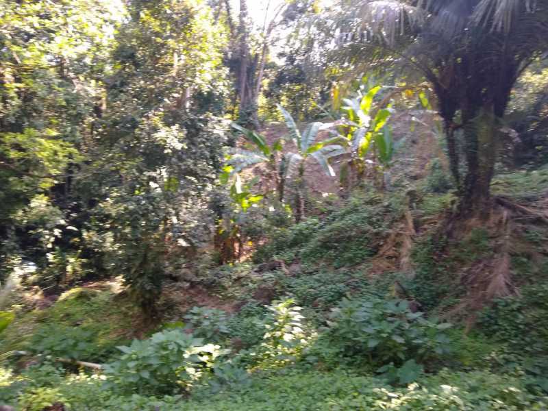 Conheça SERRA IMÓVEIS do imóvel - Sítio 2170m² à venda Cadetes Fabres, Guapimirim - R$ 300.000 - SISI30006 - 27 SERRA IMÓVEIS - Sítio 2170m² à venda Cadetes Fabres, Guapimirim - R$ 300.000 - SISI30006 - 27