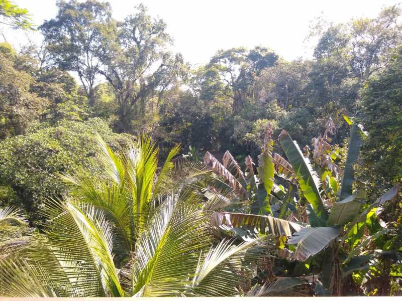 Conheça SERRA IMÓVEIS do imóvel - Sítio 2170m² à venda Cadetes Fabres, Guapimirim - R$ 300.000 - SISI30006 - 26 SERRA IMÓVEIS - Sítio 2170m² à venda Cadetes Fabres, Guapimirim - R$ 300.000 - SISI30006 - 26