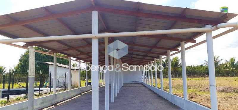 Conheça Image0016 do imóvel - Sítio à venda Conceição do Jacuípe,BA CENTRO - R$ 600.000 - PSSI50001 - 12 Image0016 - Sítio à venda Conceição do Jacuípe,BA CENTRO - R$ 600.000 - PSSI50001 - 12