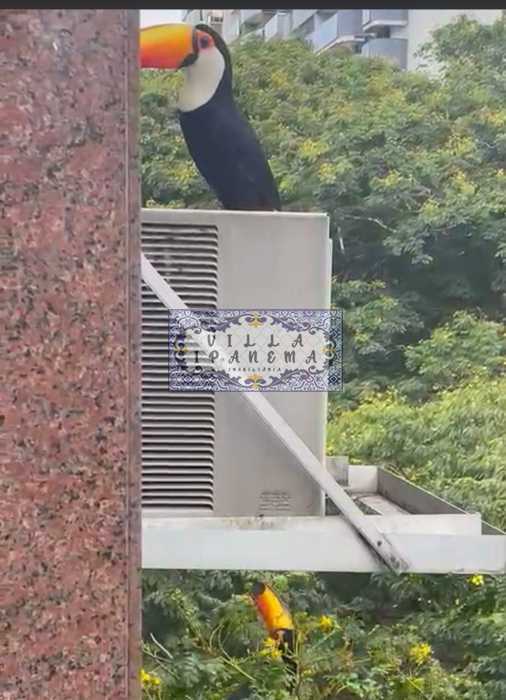Conheça A10. do imóvel - Apartamento à venda Rua Itacuruçá,Tijuca, Rio de Janeiro - R$ 1.150.000 - CPAZ501 - 11 A10. - Apartamento à venda Rua Itacuruçá,Tijuca, Rio de Janeiro - R$ 1.150.000 - CPAZ501 - 11