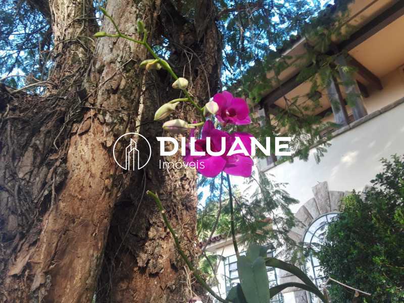 Conheça 624489cd-9950-4a1a-8227-8777dc do imóvel - Casa à venda Rua Almirante Alexandrino,Santa Teresa, Rio de Janeiro - R$ 3.000.000 - BTCA80002 - 4 624489cd-9950-4a1a-8227-8777dc - Casa à venda Rua Almirante Alexandrino,Santa Teresa, Rio de Janeiro - R$ 3.000.000 - BTCA80002 - 4