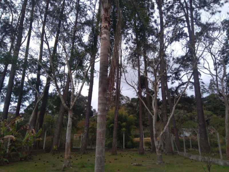Conheça 508163678930352 do imóvel - Chácara à venda Vila Moraes, Mogi das Cruzes - R$ 720.000 - BICH30008 - 13 508163678930352 - Chácara à venda Vila Moraes, Mogi das Cruzes - R$ 720.000 - BICH30008 - 13