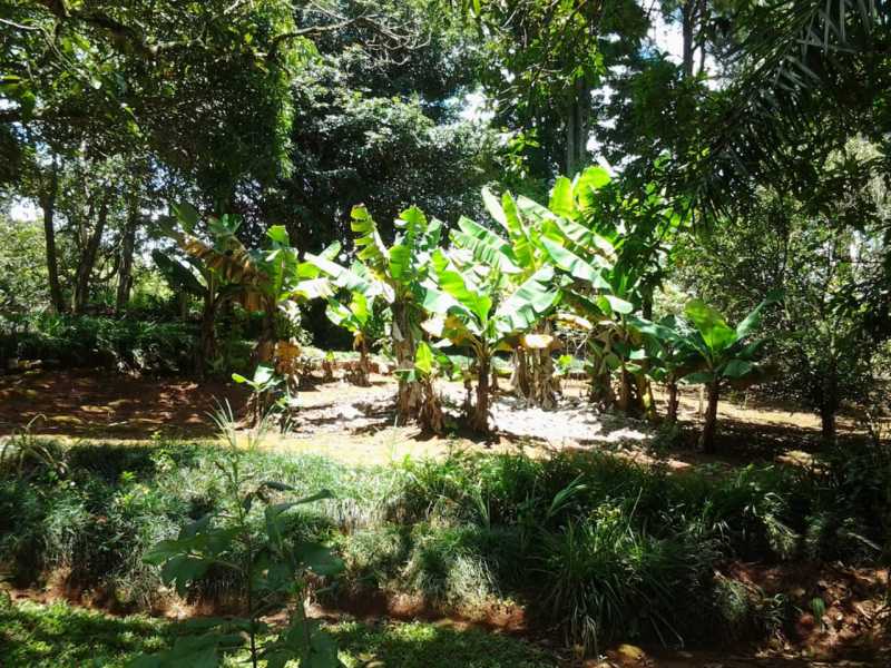 Conheça 2f1315c6-f9f4-4368-8c1d-c6b2d3 do imóvel - Chácara 5067m² à venda Itatiba,SP - R$ 740.000 - VICH20001 - 9 2f1315c6-f9f4-4368-8c1d-c6b2d3 - Chácara 5067m² à venda Itatiba,SP - R$ 740.000 - VICH20001 - 9