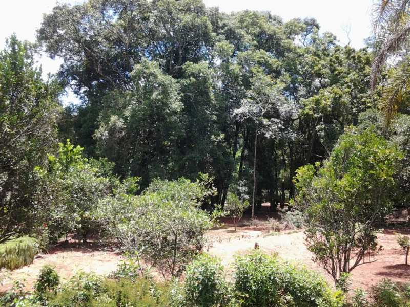 Conheça bf983f23-265f-4ec6-8817-cc4044 do imóvel - Chácara 5067m² à venda Itatiba,SP - R$ 740.000 - VICH20001 - 13 bf983f23-265f-4ec6-8817-cc4044 - Chácara 5067m² à venda Itatiba,SP - R$ 740.000 - VICH20001 - 13