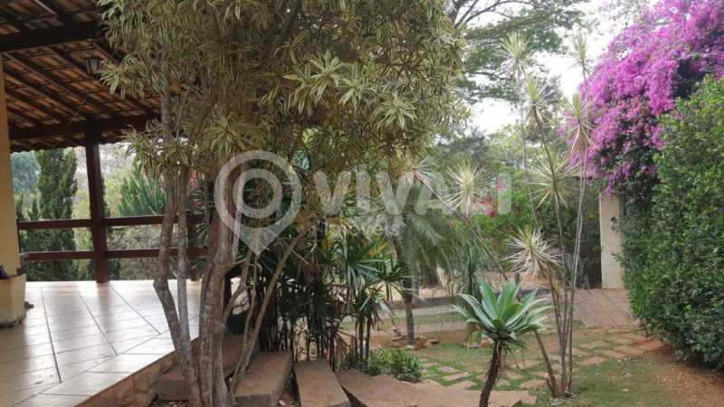 Conheça Quintal do imóvel - Chácara 1001m² à venda Itatiba,SP - R$ 750.000 - VICH30008 - 18 Quintal - Chácara 1001m² à venda Itatiba,SP - R$ 750.000 - VICH30008 - 18