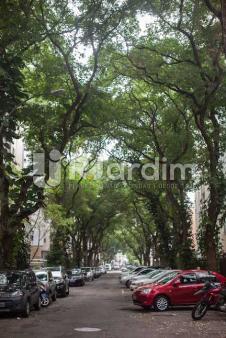 Conheça vista da rua do imóvel - Compra Venda Avaliação Imóveis Apartamento Copacabana 3 Quartos - LAAP31629 - 15 vista da rua - Compra Venda Avaliação Imóveis Apartamento Copacabana 3 Quartos - LAAP31629 - 15