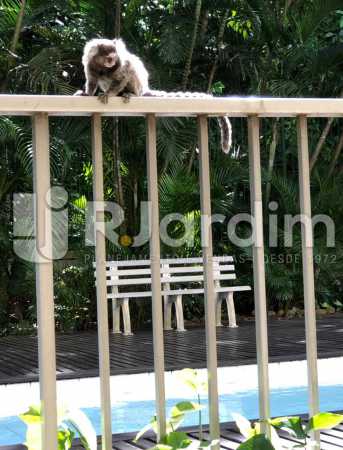 Conheça morador local do imóvel - Compra Venda Avaliação Imóveis Apartamento Lagoa 1 Quarto - LAAP10295 - 19 morador local - Compra Venda Avaliação Imóveis Apartamento Lagoa 1 Quarto - LAAP10295 - 19