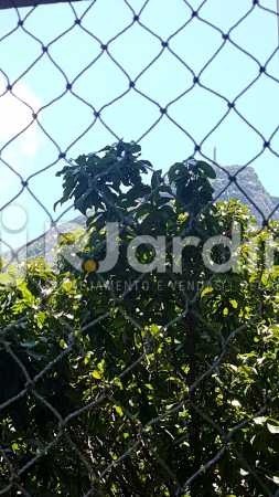 Conheça Vista do Cristo do imóvel - Apartamento À Venda - Lagoa - Rio de Janeiro - RJ - LAAP40730 - 30 Vista do Cristo - Apartamento À Venda - Lagoa - Rio de Janeiro - RJ - LAAP40730 - 30