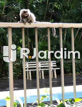 Conheça morador local do imóvel - Apartamento À Venda - Lagoa - Rio de Janeiro - RJ - LAAP10392 - 27 morador local - Apartamento À Venda - Lagoa - Rio de Janeiro - RJ - LAAP10392 - 27