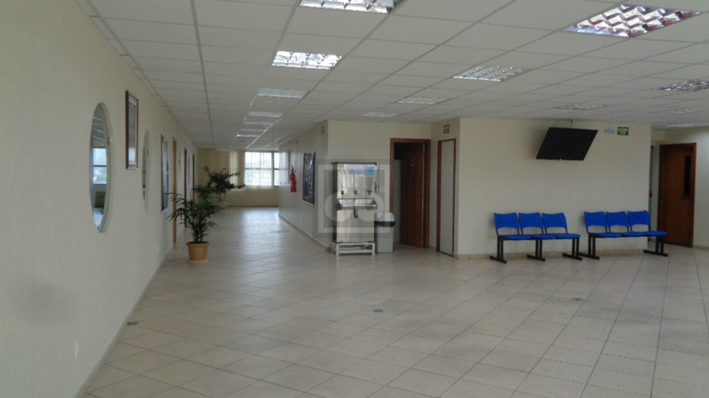 FOTO_1 - 1