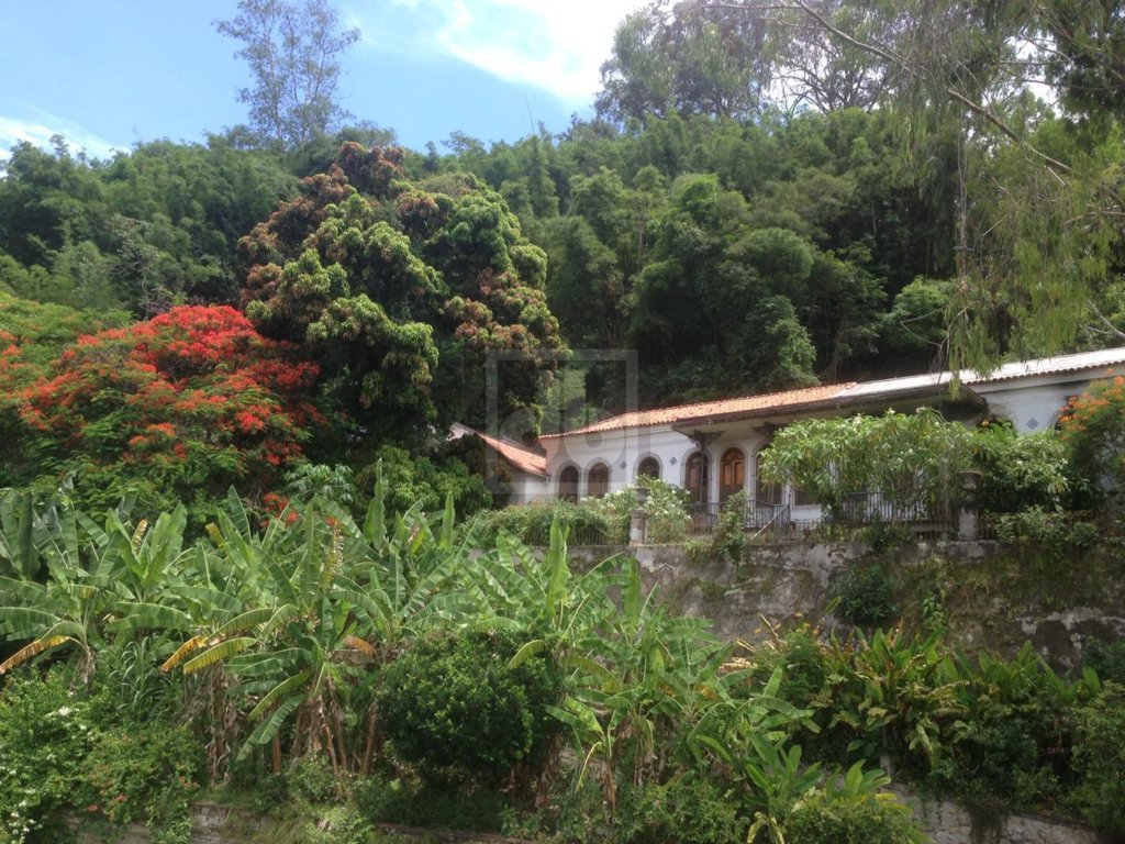 FOTO_1 - 1