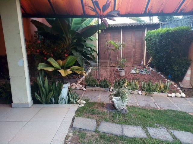 FOTO_12 - 12