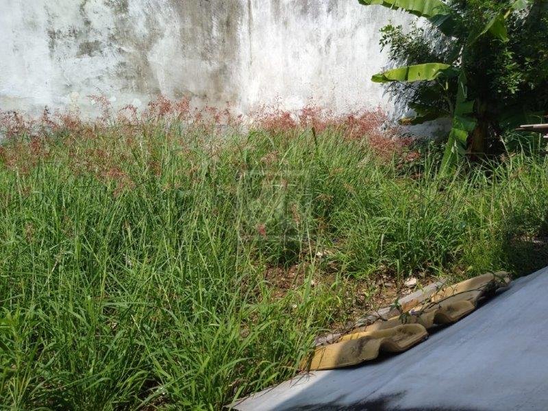 FOTO_18 - 18