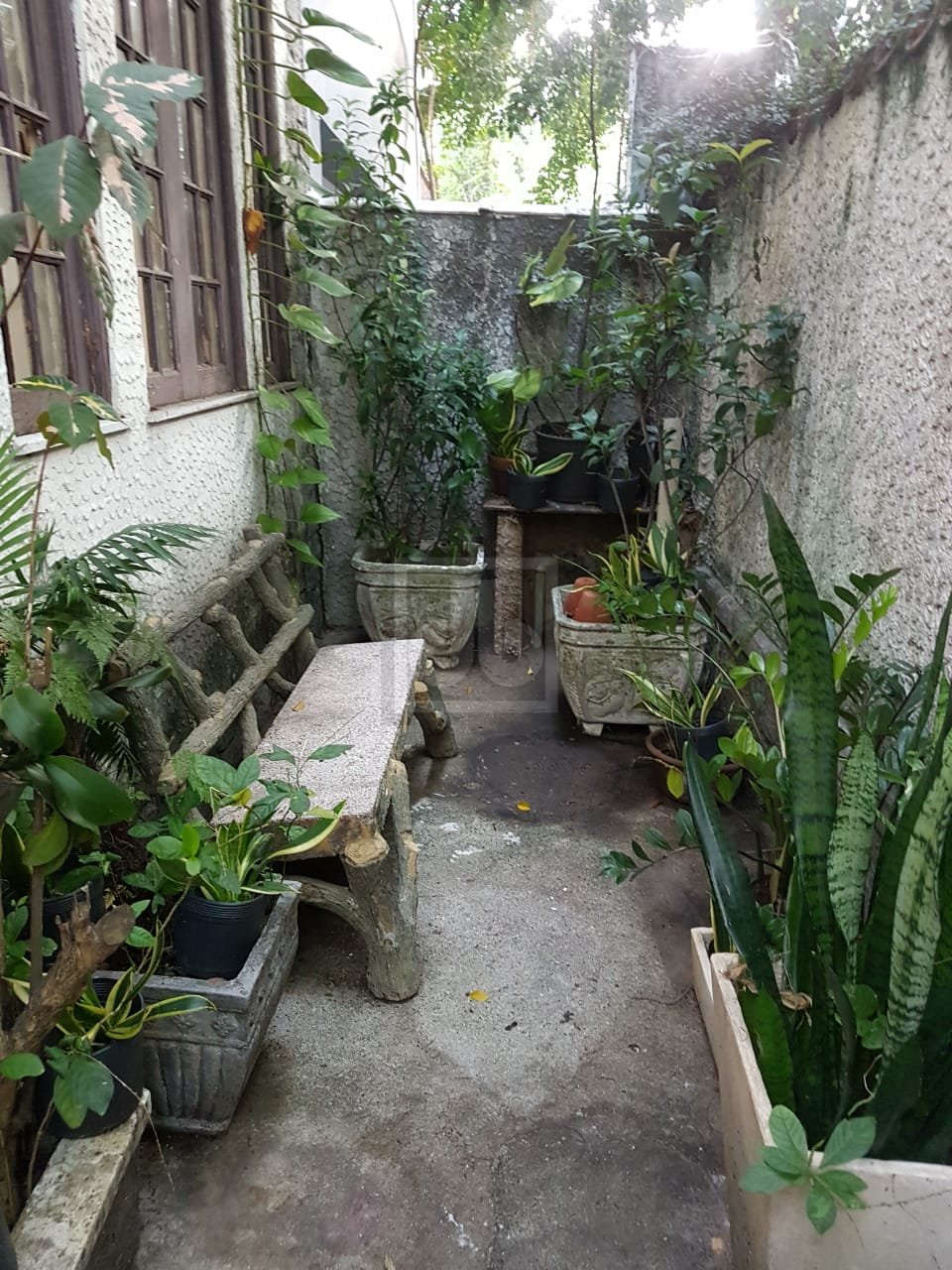 FOTO_11 - 11