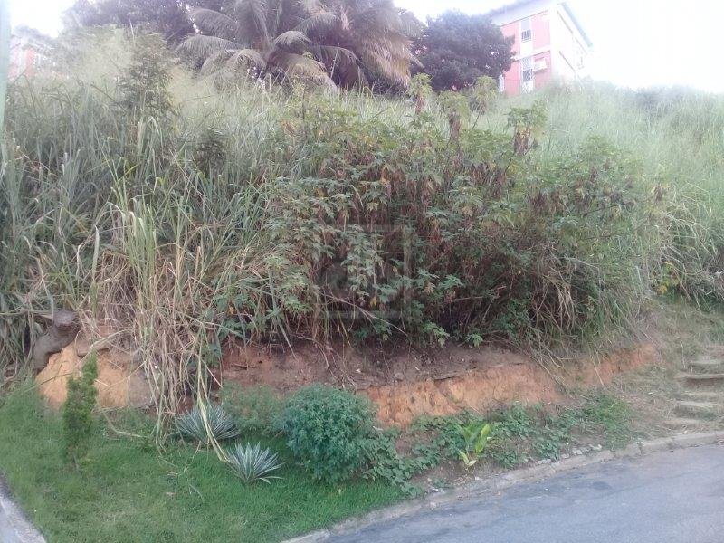 FOTO_2 - 2