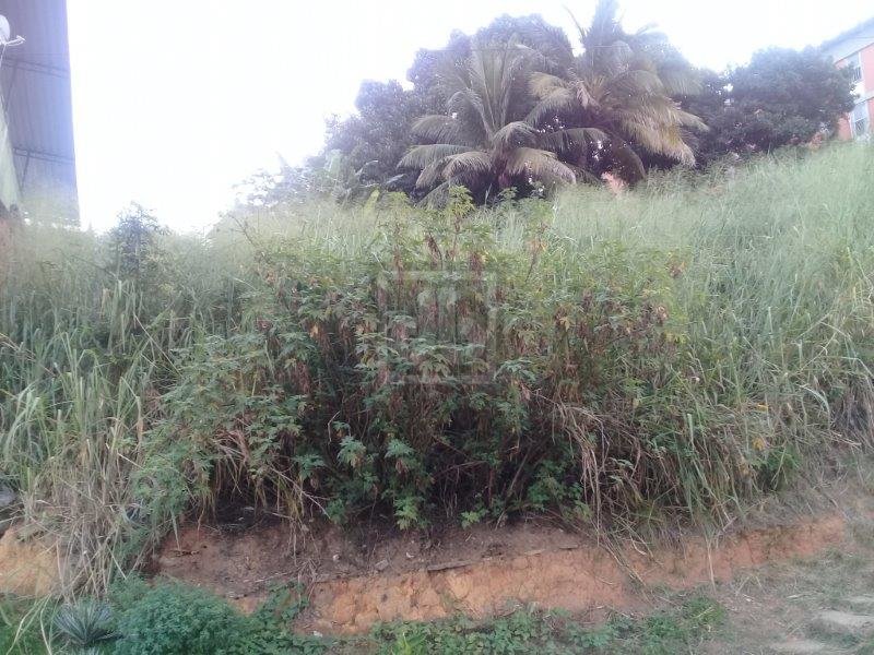 FOTO_3 - 3