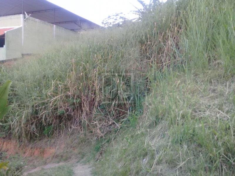 FOTO_6 - 6
