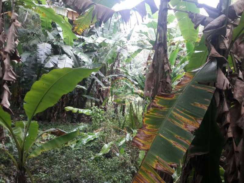 Conheça 116 do imóvel - Terreno Unifamiliar à venda Taquara, Rio de Janeiro - R$ 2.100.000 - TR0344 - 11 116 - Terreno Unifamiliar à venda Taquara, Rio de Janeiro - R$ 2.100.000 - TR0344 - 11