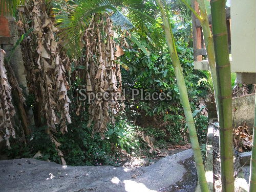Conheça VERDE do imóvel - Casa em Condomínio Itanhangá, Bosque Itanhangá, Itanhangá, Rio de Janeiro, RJ À Venda, 5 Quartos, 400m² - BAC3618 - 8 VERDE