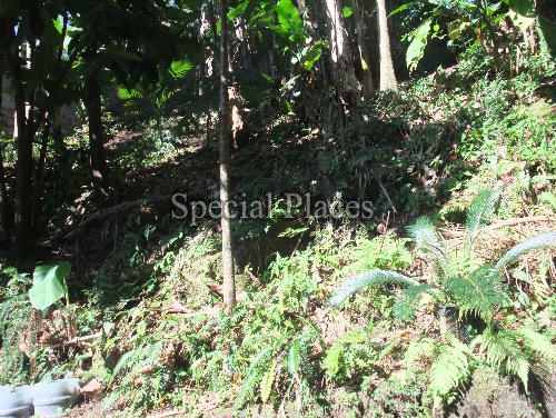 Conheça VERDE TERRENO do imóvel - Casa em Condomínio Itanhangá, Bosque Itanhangá, Itanhangá, Rio de Janeiro, RJ À Venda, 5 Quartos, 400m² - BAC3618 - 4 VERDE TERRENO