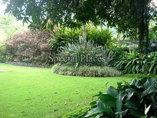 Conheça PAISAGISMO do imóvel - Casa À Venda no Condomínio Itanhangá, Vila do Golfe - Itanhangá - Rio de Janeiro - RJ - BAC3860 - 3 PAISAGISMO