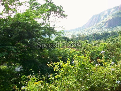 Conheça VISTA do imóvel - Casa À Venda no Condomínio Itanhangá, Jardim - Itanhangá - Rio de Janeiro - RJ - BAC5061 - 4 VISTA