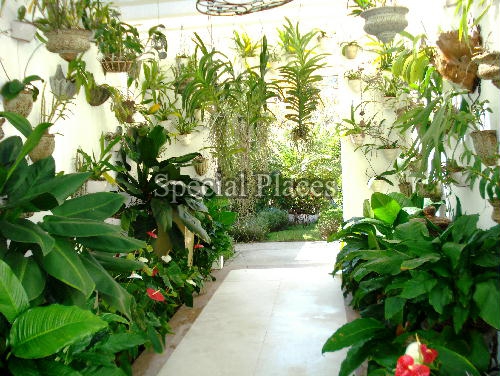 Conheça ORQUIDARIO do imóvel - Casa À Venda no Condomínio Itanhangá, Reserva - Itanhangá - Rio de Janeiro - RJ - BAC5722 - 9 ORQUIDARIO