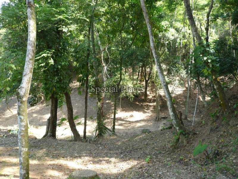Conheça TERRENO do imóvel - Terreno 3140m² à venda Itanhangá, Rio de Janeiro - R$ 1.000.000 - BAT1013 - 4 TERRENO