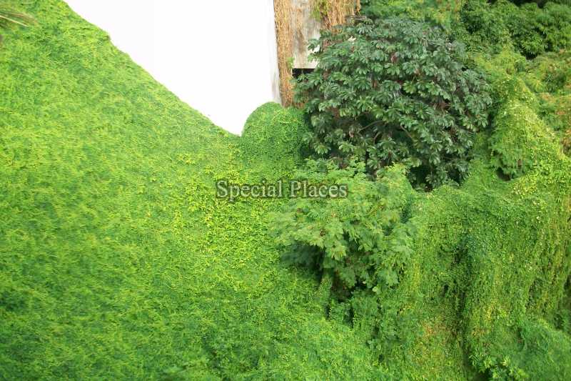 Conheça TERRENO do imóvel - Terreno 760m² à venda Joá, Rio de Janeiro - R$ 2.500.000 - BAT933 - 15 TERRENO
