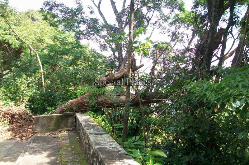 Conheça TERRENO do imóvel - Terreno 2900m² à venda São Conrado, Rio de Janeiro - R$ 1.300.000 - BAT1138 - 4 TERRENO