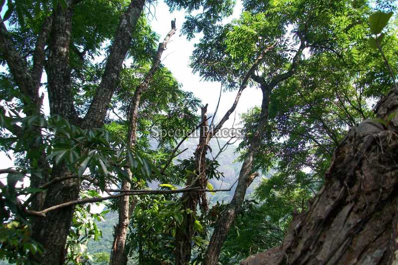 Conheça TERRENO do imóvel - Terreno 2900m² à venda São Conrado, Rio de Janeiro - R$ 1.300.000 - BAT1138 - 6 TERRENO